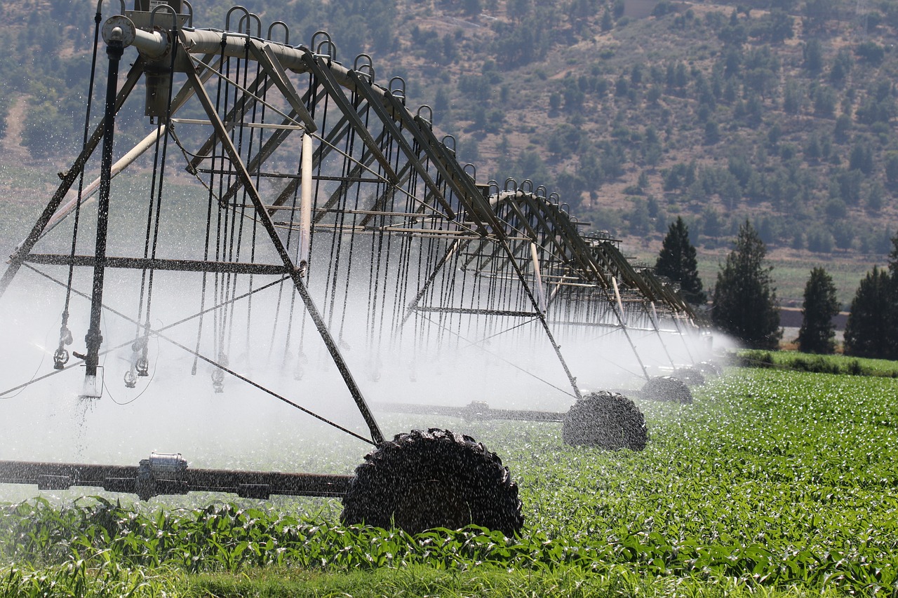 Climate Change and Infectious Diseases: A Growing Threat?